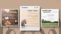 design eyecatching instagram carousel or story