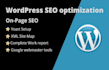 elevate your website with advanced on page SEO techniques