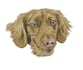 digitize image for embroidery, custom embroidery digitizing, embroidery logo