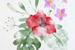 send a set of realistic watercolor procreate brushes