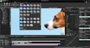 be your professional video editor
