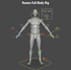do rigging of your characters in blender