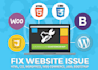 fix your wordpress bug or error in 24 hours