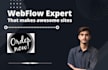 develop, and update a webflow website and a 2d 3d animated webflow website