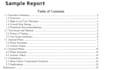 perform a pentest on your website with report