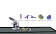 create an explainer or educational whiteboard animation video