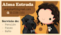 draw a personalized cartoon for your business
