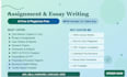 provide expert academic writer services