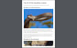 write  blog posts and articles about dogs, pets and wild animals