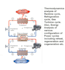 do thermodynamics vle and power cycles