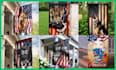 create amazing garden flag, house flag, custom printed flag designs