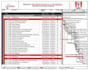 do project schedule, gantt chart on primavera p6, ms project