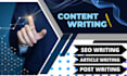 be your SEO website content writer, blog and article writer