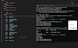 do intel x86 or x64 assembly programming