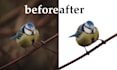 cut out images, cut out background remove fast