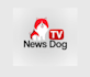 design modern world amazing dog TV news logo