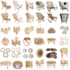 do 3d furniture interior modeling and rendering