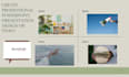 construct a powerful powerpoint presentation