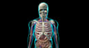 do 3d medical visualisation