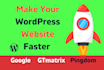 do wordpress website speed optimization, google page speed