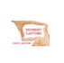 design photo booth logo