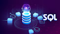 design sql database,write and modify queries