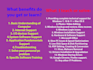 provide remote IT support for windows and mac computer