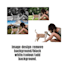 remove background images professionally with all its skills