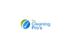 design the cleaning pros catchy and recognizable logo design