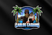 design a custom logo for your hobby