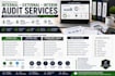 provide professional internal external and interim audit services