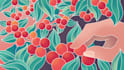 design attractive packaging illustrations