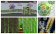 do 2d and 3d scientific illustrations, graphic abstract, scientific cover art