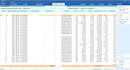 do create customization on tally program