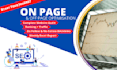 provide white hat onsite and offsite SEO services to boost organic traffic