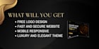 create luxury and premium website wordpress