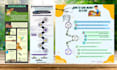 design infographics, related to ngos and nonprofit org