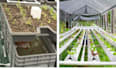write top notching content about aquaponic, hydroponic, and aeroponic