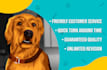 draw your dogs or any pets into cartoon
