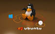 setup your vps linux to hosting your website