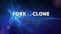 fork ens ethereum name service domains