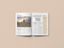 design newspaper, magazine, and poster