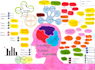 create colourful mind or concept map within one day