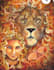 read your tarot cards love spells