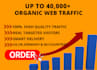 usa traffic generator organic traffic