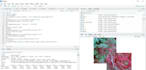 do r programming, python and sql