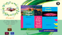 design a one page full color flyer