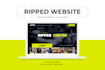design or redesign webflow website or online store for your business