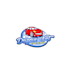 design a fun techy automatic car wash logo