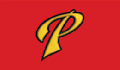 do embroidery digitizing in 3d puff into dst pes jef exp hus